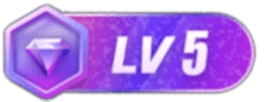 LV5 等级-LV5-皮皮资源网